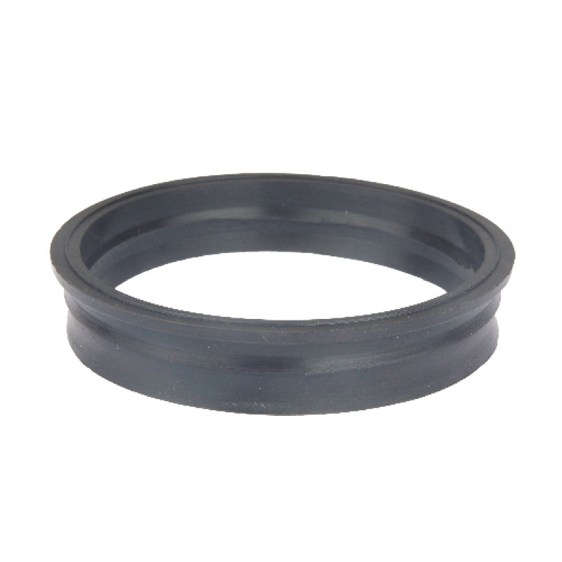 Guarnição da Flange do Módulo de Combustível